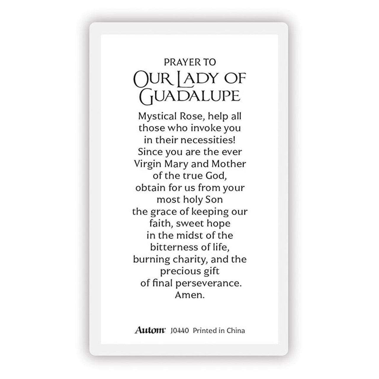 Laminated Mary and Jesus Prayer Cards
