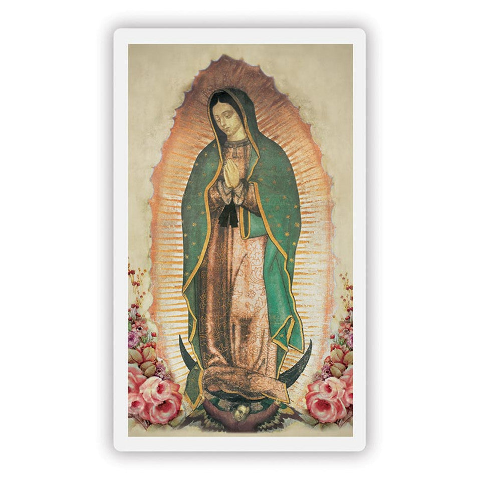Laminated Mary and Jesus Prayer Cards